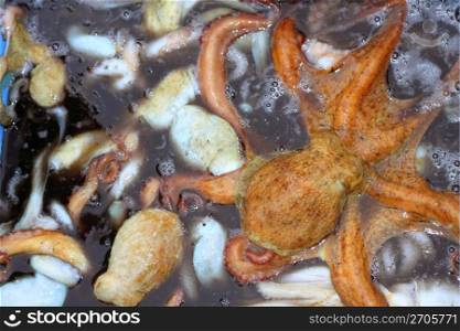 octopus seafood cephalopods pattern background on market