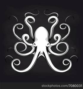 Octopus sketch design on blackboard. Black and white octopus sketch design on blackboard background. Vector illustration