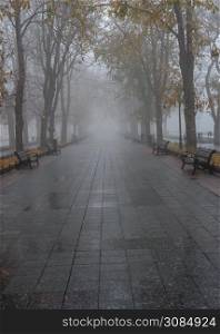 Odessa, Ukraine 11.28.2019. Primorsky Boulevard in Odessa, Ukraine, on a foggy autumn day. Primorsky Boulevard in Odessa, Ukraine