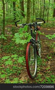 off-road mountain bike in the green forest travel and discovery concept