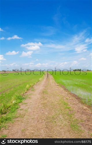Off-road track on green field with blue sky