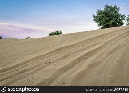 off road vehicle tracks on sand dune - North Sand Hills, only place in Colorado to legally ride on sand dunes