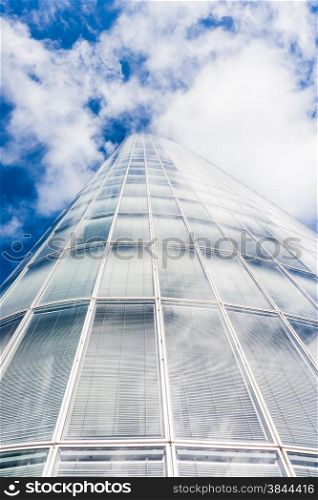 office buildings. glass silhouettes. Skyscrapers