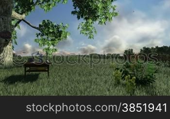 Office on green meadow, countryside scenery