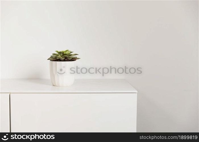 office plant cupboard. Resolution and high quality beautiful photo. office plant cupboard. High quality beautiful photo concept