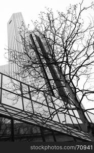 Office tower and tree - Nature and technology concept. Black and white image