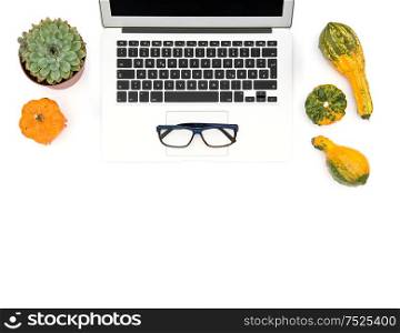 Office workplace. Flat lay. Laptop, succulent, autumn pumpkin on white background