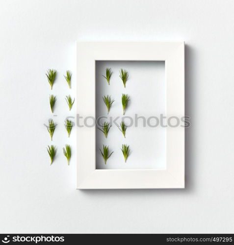 Ogranic herbal pattern of pine needles twigs and rectangular frame on a light gray background. Place for text. Flat lay. Post card.. Froral composition with fresh needles and white frame on a light background.