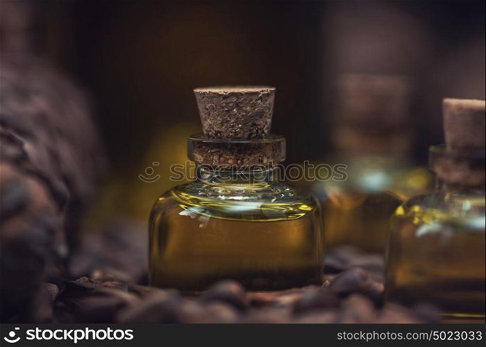Oil of cedar nuts. Oil of cedar nuts on a dark wooden background