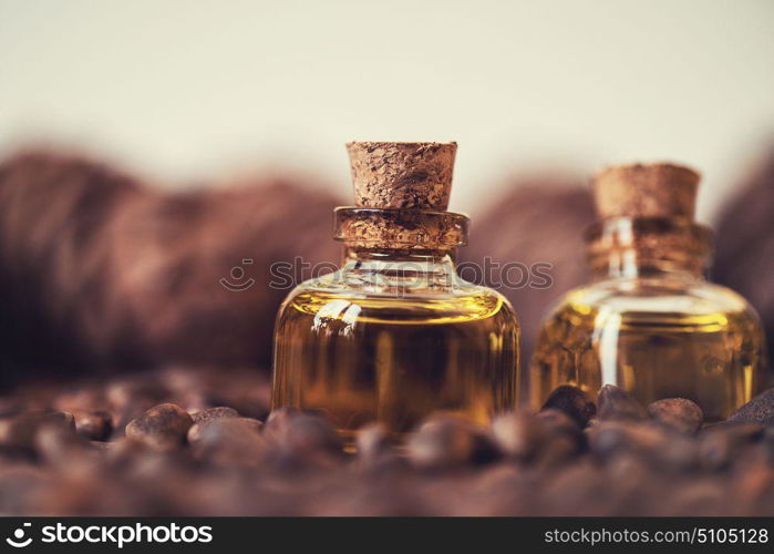 Oil of cedar nuts. Oil of cedar nuts on a dark wooden background