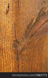 Oiled wooden plank texture for your design.
