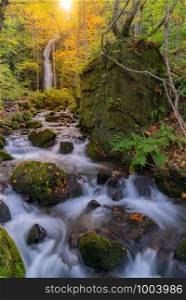 Oirase Autumn Fall Landscape of Forest woodland and waterfall in Aomori Tohoku Japan