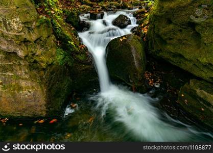 Oirase Mountain Stream flow passing green mossy rocks covered with colorful falling leaves of autumn season at Oirase Gorge in Towada hachimantai National Park, Aomori Prefecture, Japan.
