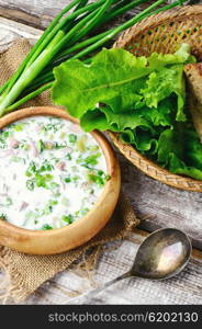 Okroshka,a cold summer soup of fresh vegetables,meat and yogurt