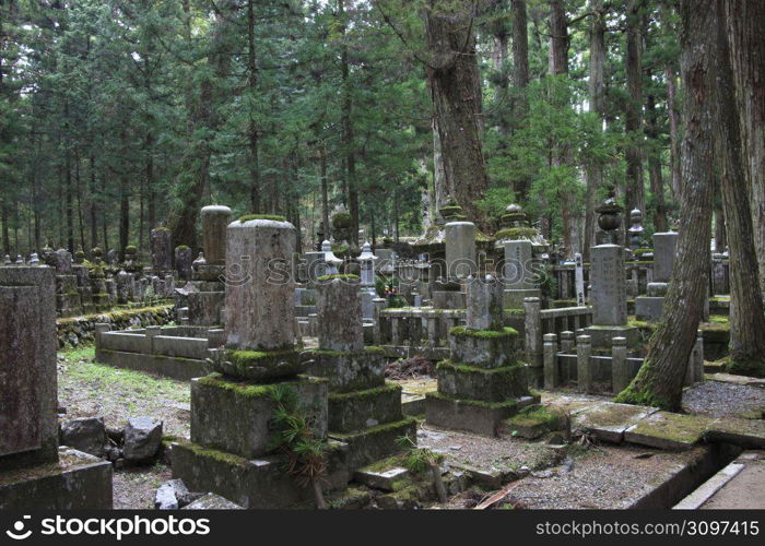 Okunoin road