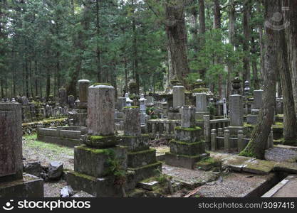 Okunoin road