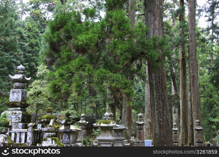 Okunoin road