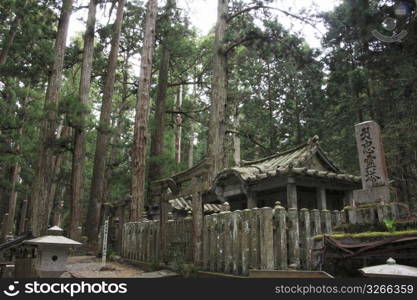 Okunoin road