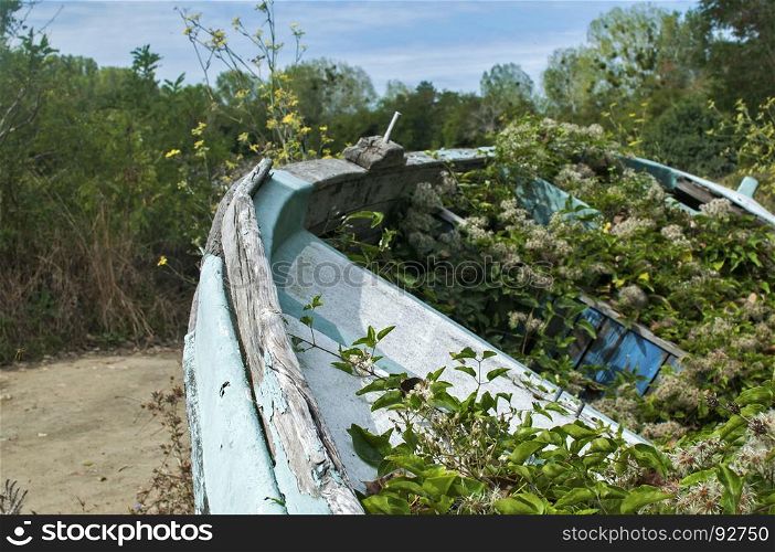 Old abandoned weathered grunge wooden fishing boat closeup overgrown with vegetation