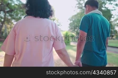 Old age asian couple walking together inside the park, family get together, holding hands love bonding, human relationships, retirement lifestyle, elderly mental physical health, view from behind