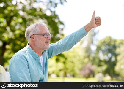 old age, gesture and people concept - happy senior man in glasses sitting at summer park and showing thumbs up