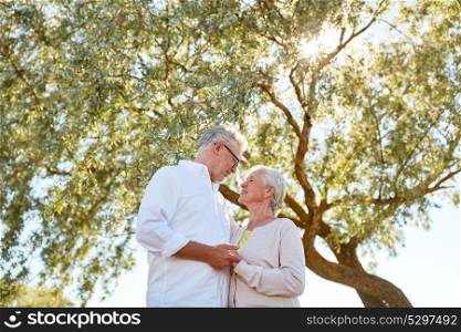 old age, love and people concept - happy senior couple at summer park. happy senior couple at summer park