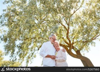 old age, love and people concept - happy senior couple hugging at summer park. happy senior couple hugging at summer park