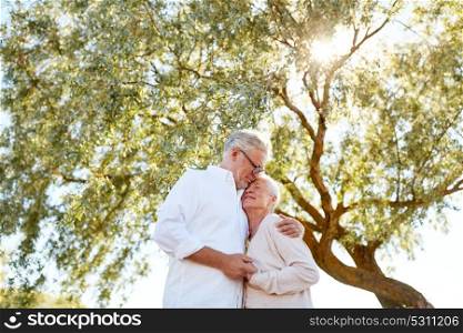 old age, love and people concept - happy senior couple hugging at summer park. happy senior couple hugging at summer park