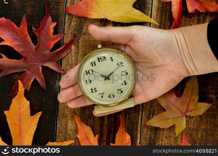 Old alarm clock between yellow leaves in autumn