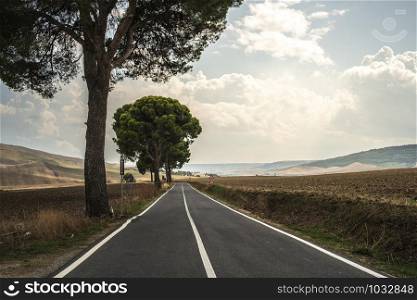 Old asphalt road with white line. Trees and agricultural land.