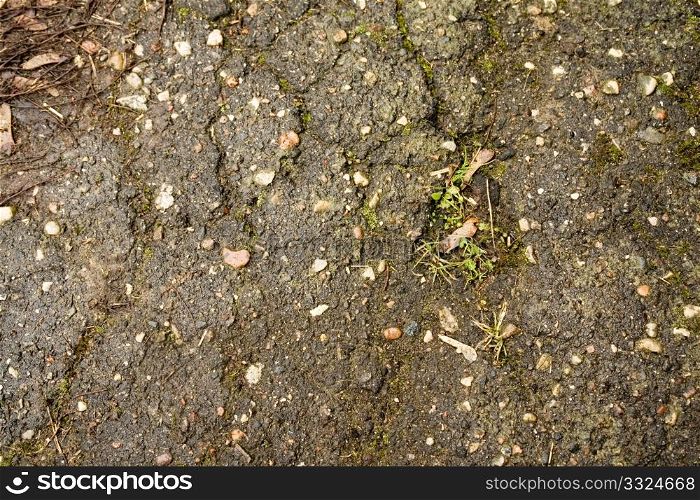 old asphalt take photograph close-up