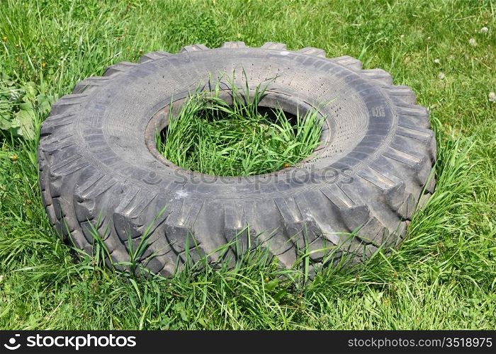 old automobile wheels on a green grass