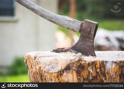 Old axe attached to a tree trunk, alpine hut
