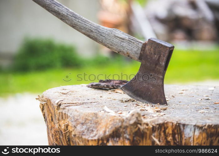 Old axe attached to a tree trunk, alpine hut