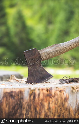 Old axe attached to a tree trunk, alpine hut