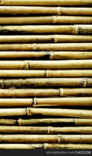 Old bamboo background. Natural texture collection.
