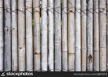 Old bamboo fence in the garden, Cozy decorating idea for patio, balcony for gardening.