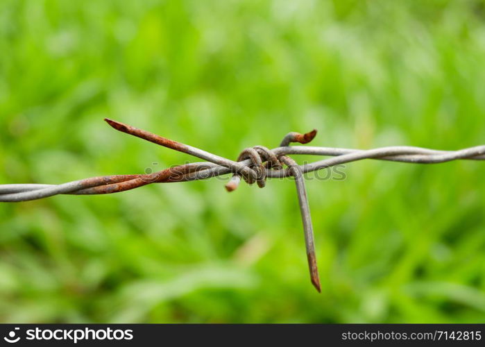 Old barbed wire fence with rust on green nature background