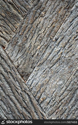 Old bark wood texture. Element of design.