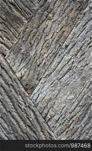 Old bark wood texture. Element of design.