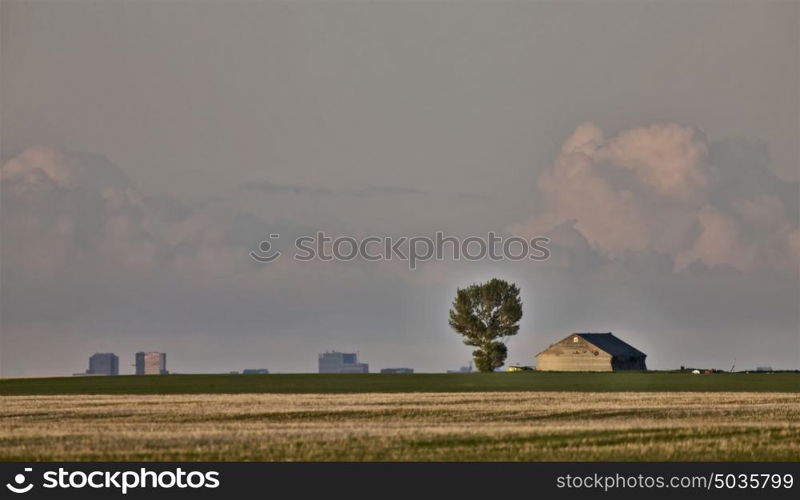 Old Barn and tree with Regina Saskatchewan in Background