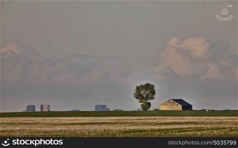 Old Barn and tree with Regina Saskatchewan in Background