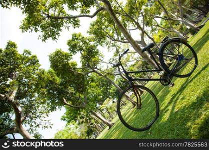 Old bicycle in the park. Parked on the lawn.