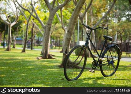 Old bicycle in the park. Parked on the lawn.