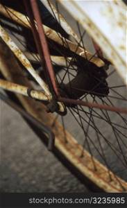Old Bicycle Tire and Fender