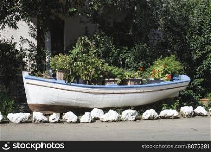 Old boat on land and flowers