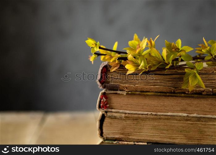 Old books on a wooden table. Branches of yellow leaves on the books. Concept background.. Old books on a wooden table. Branches of yellow leaves on the books.