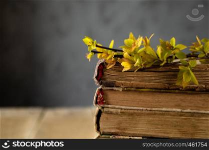 Old books on a wooden table. Branches of yellow leaves on the books. Concept background.. Old books on a wooden table. Branches of yellow leaves on the books.