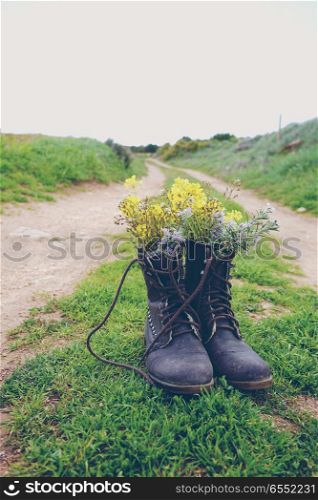 Old boots filled with flowers in nature