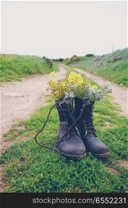 Old boots filled with flowers in nature
